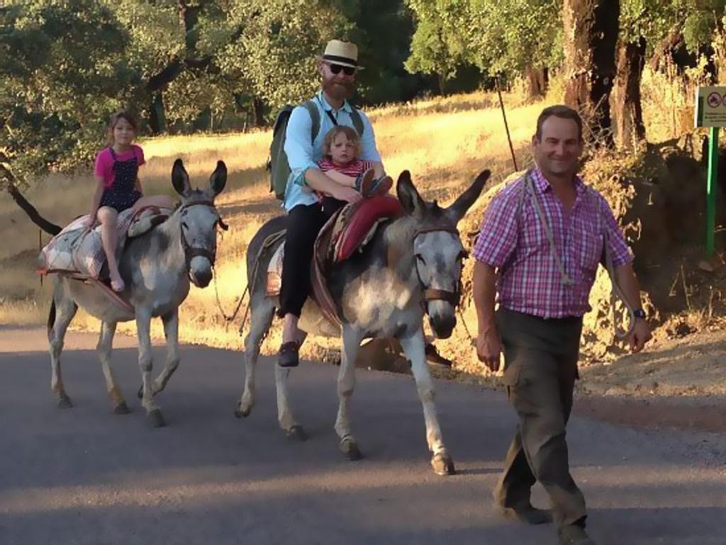 Molino Rio Alajar Konuk evi Dış mekan fotoğraf